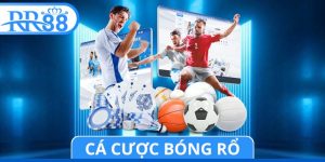 Cá Cược Bóng Rổ