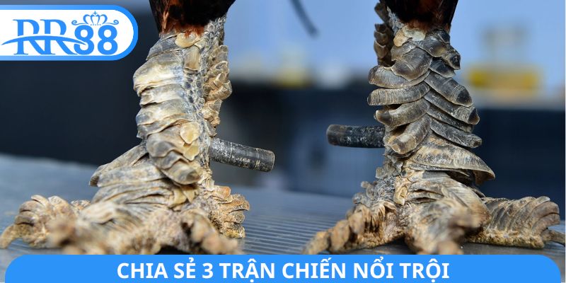 Chia sẻ 3 trận chiến nổi trội