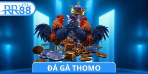 Đá Gà Thomo