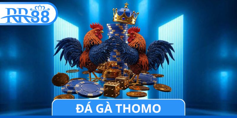 Đá Gà Thomo