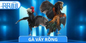 Gà Vẩy Rồng