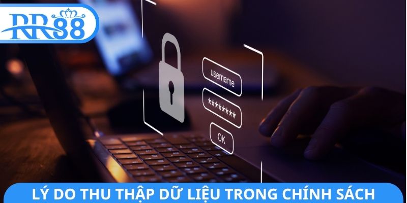 Lý do cần thu thập dữ liệu trong chính sách bảo mật