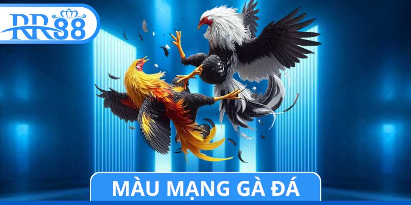 Màu Mạng Gà Đá