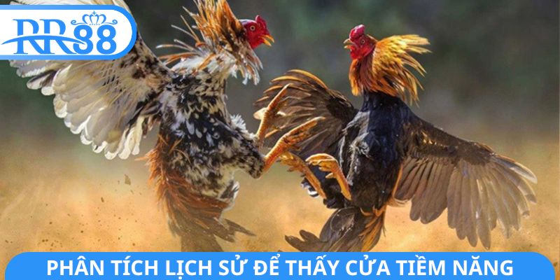 Phân tích lịch sử để thấy cửa tiềm năng