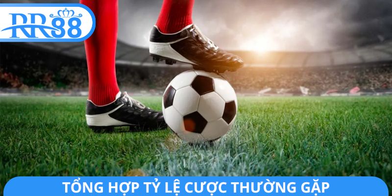 Tổng hợp tỷ lệ cược thường gặp